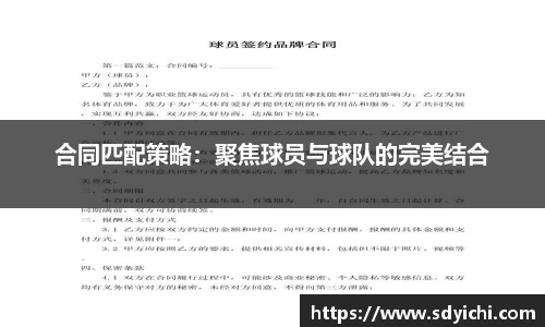 合同匹配策略：聚焦球员与球队的完美结合